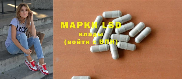 индика Лагань
