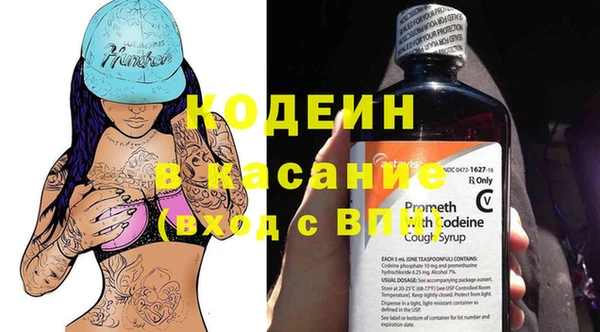 индика Лагань