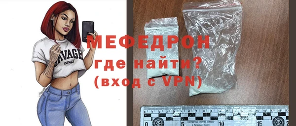 индика Краснослободск