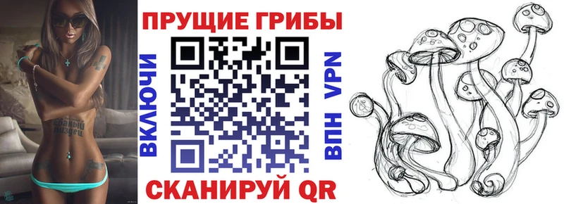 ссылка на мегу онион  Урень  Галлюциногенные грибы Psilocybine cubensis 